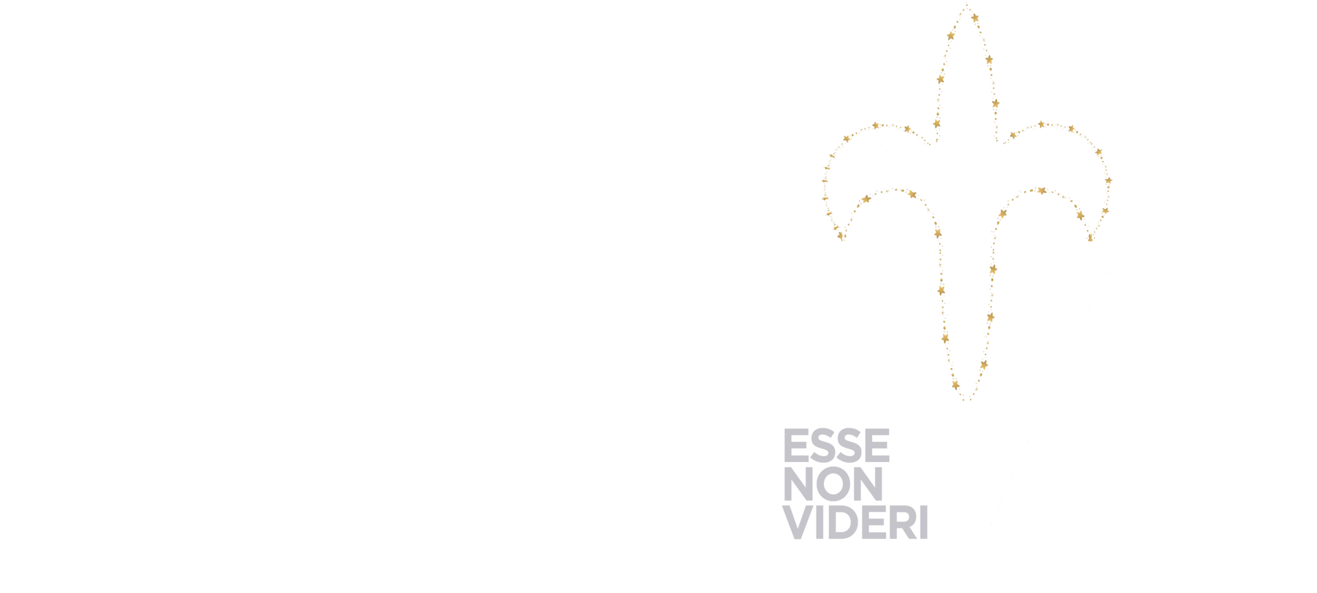St. Joseph's University, New York’s Third Annual Gala