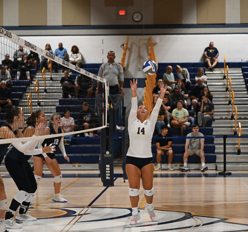 A volleyball player in a white jersey prepares to set the ball during a game, with opposing players ready to respond.