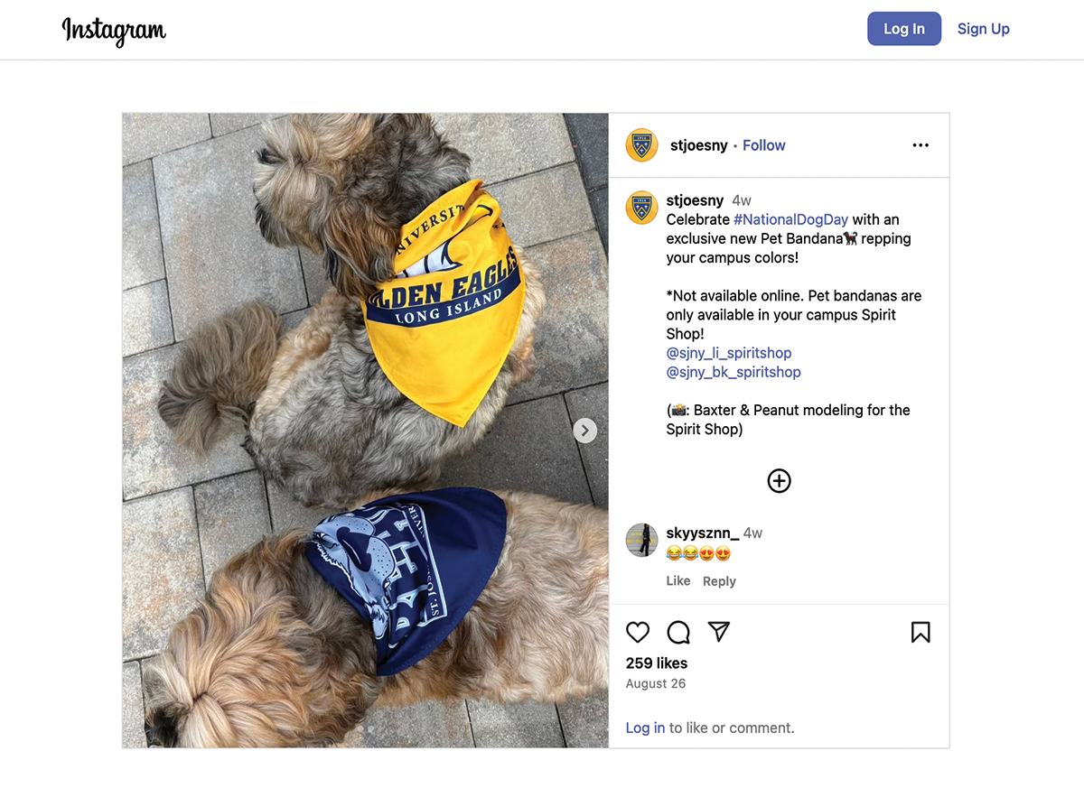 A screenshot of a Instagram post from the account labeled stjoesny featuring two dogs from a top-down view; One dog wears a yellow bandana that says Golden Eagles Long Island and the other wears a navy blue bandana